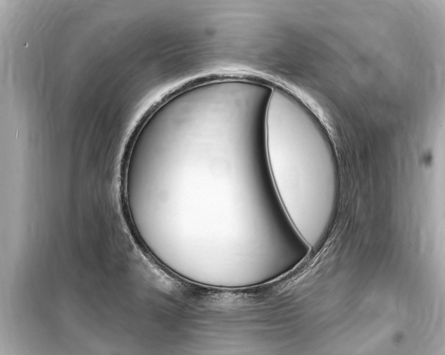 X0000099561327200805160741