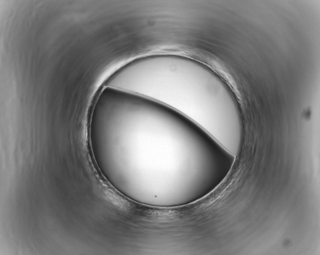 X0000099561328200805160741