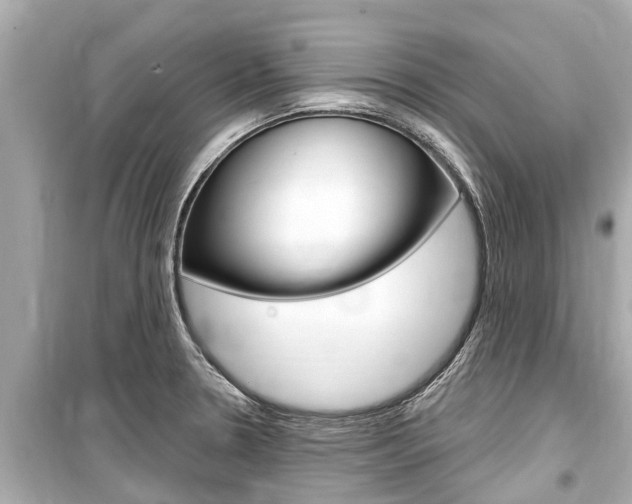 X0000099561330200805160741