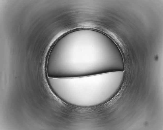 X0000099561331200805160741