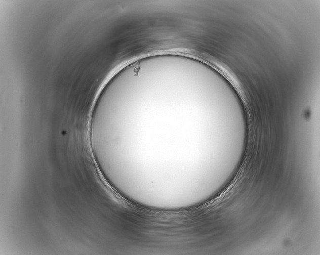 X0000099561332200805160741
