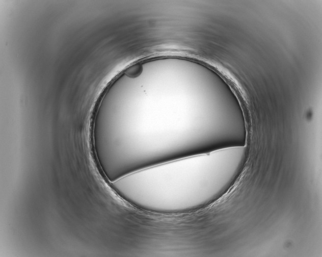 X0000099561333200805160741