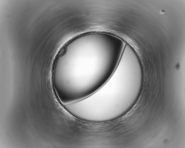X0000099561334200805160741