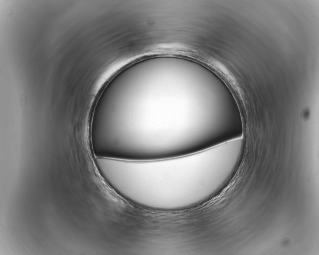X0000099561336200805160741
