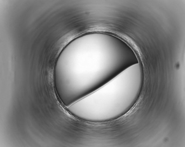 X0000099561337200805160741