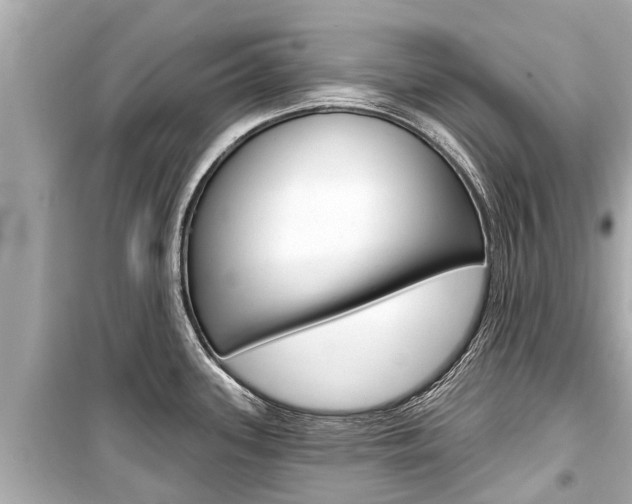 X0000099561339200805160741