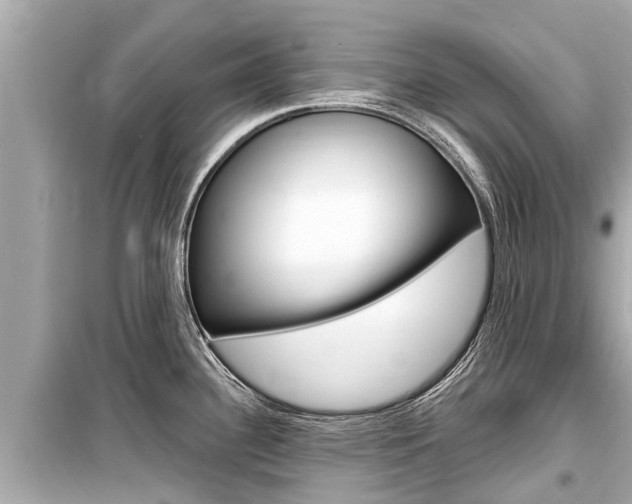 X0000099561340200805160741