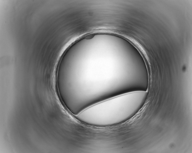X0000099561341200805160741
