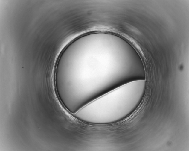 X0000099561343200805160741