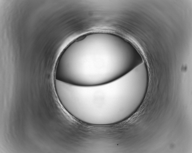 X0000099561344200805160741