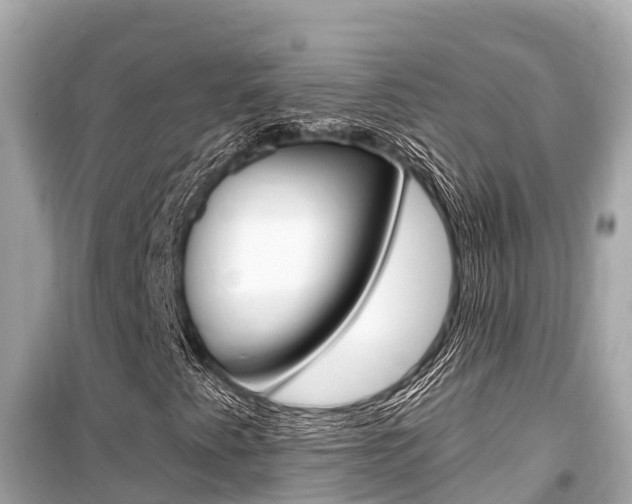 X0000099561345200805160740