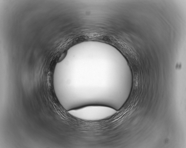 X0000099561346200805160740