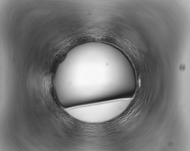 X0000099561347200805160740