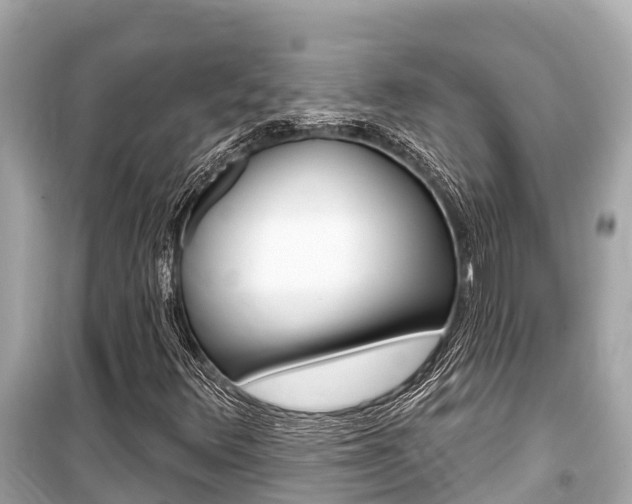 X0000099561348200805160740