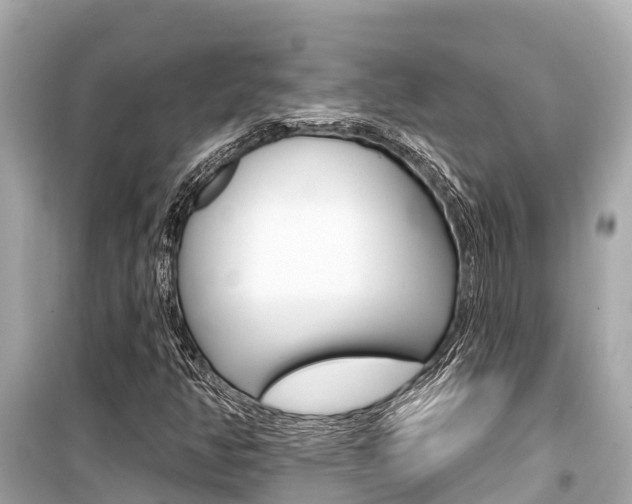 X0000099561350200805160740