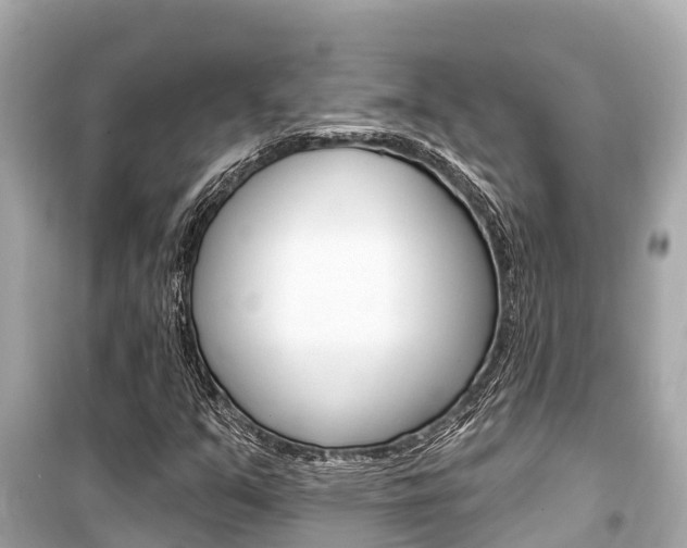 X0000099561351200805160740
