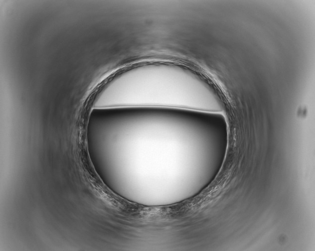 X0000099561352200805160740