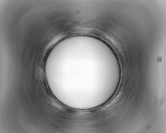 X0000099561354200805160740