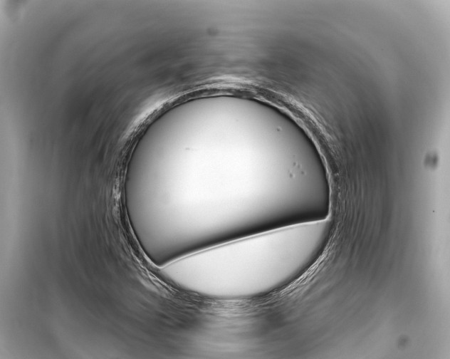 X0000099561355200805160740