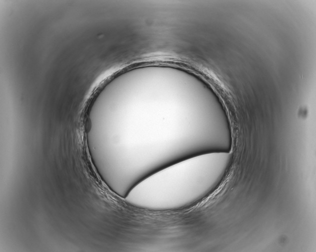 X0000099561358200805160740