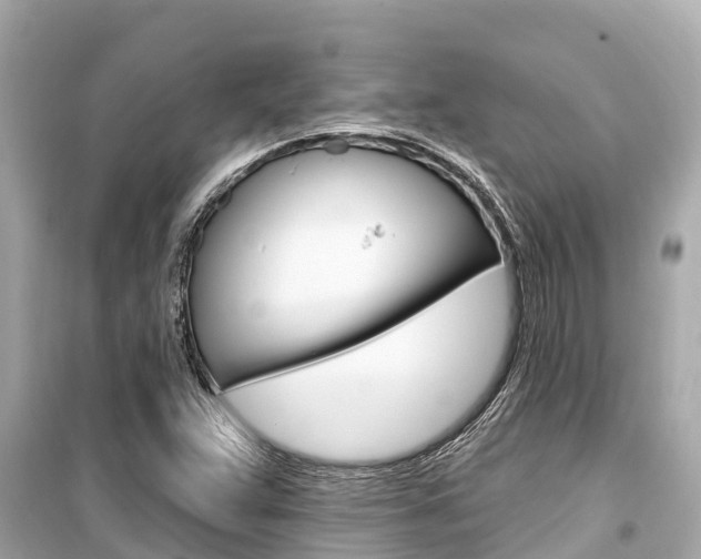 X0000099561359200805160740