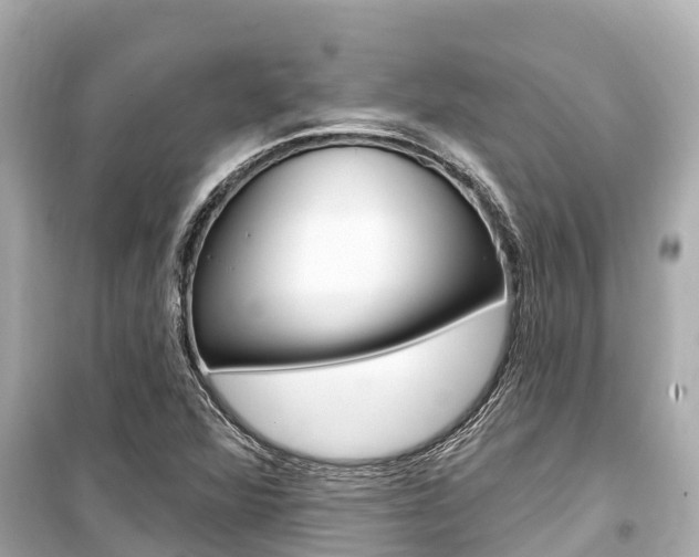 X0000099561360200805160740