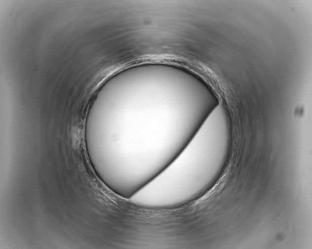 X0000099561361200805160740
