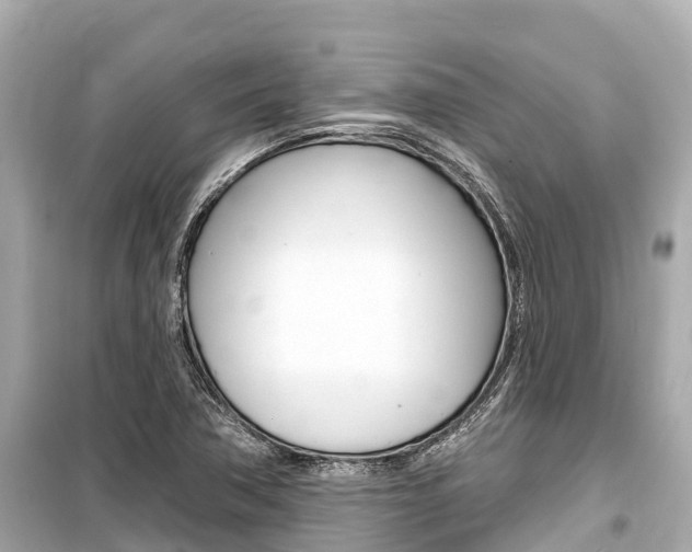 X0000099561362200805160740