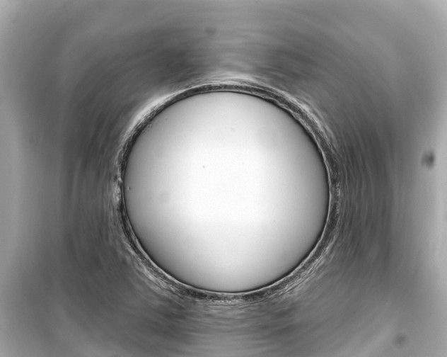 X0000099561363200805160740