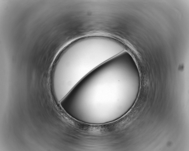 X0000099561364200805160740