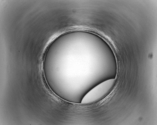 X0000099561365200805160740