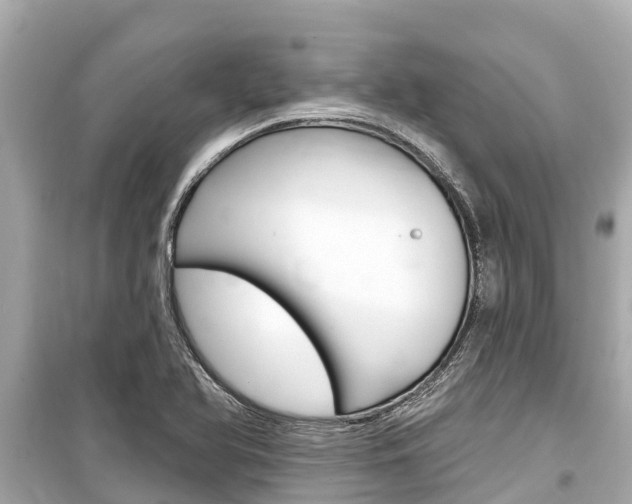 X0000099561366200805160740