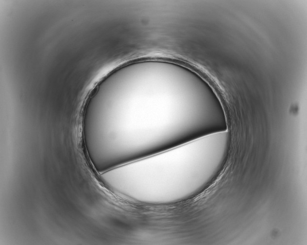 X0000099561367200805160740