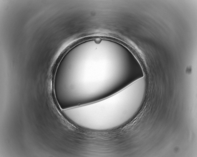 X0000099561368200805160740
