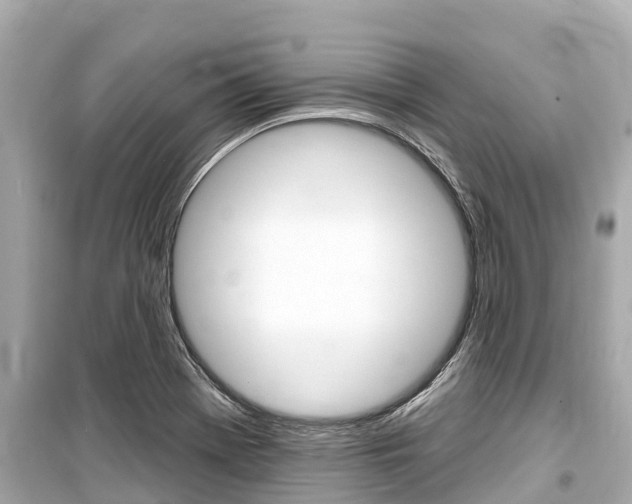 X0000099561369200805160740