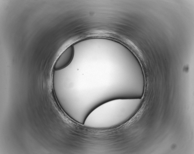X0000099561370200805160740