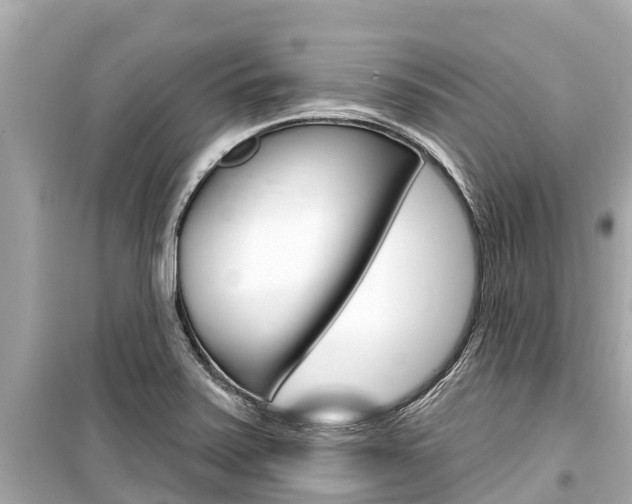 X0000099561371200805160740