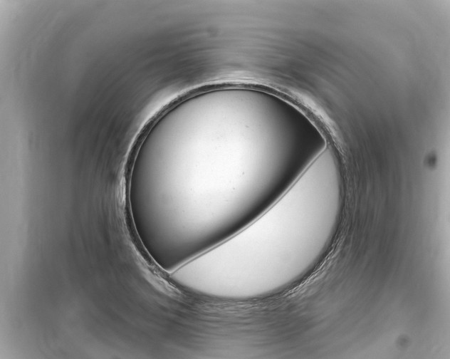 X0000099561372200805160740
