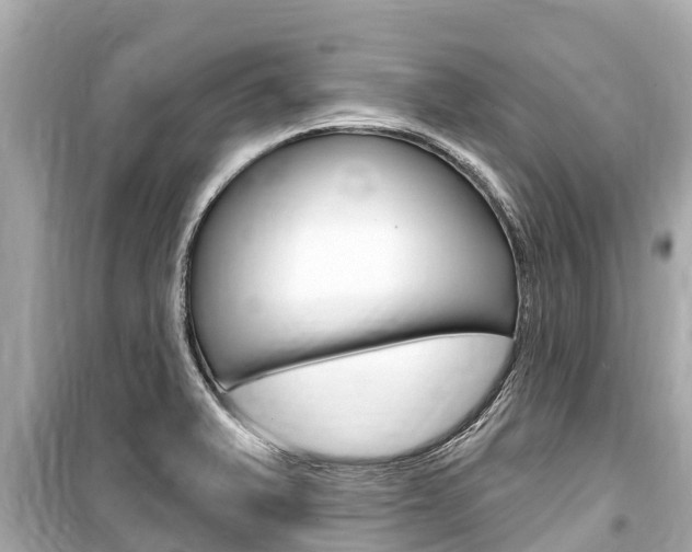 X0000099561375200805160740