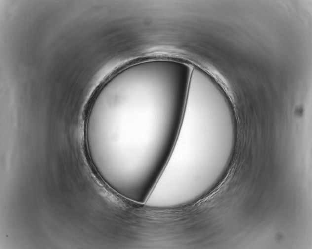 X0000099561376200805160740