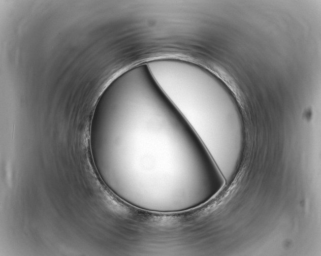 X0000099561377200805160740