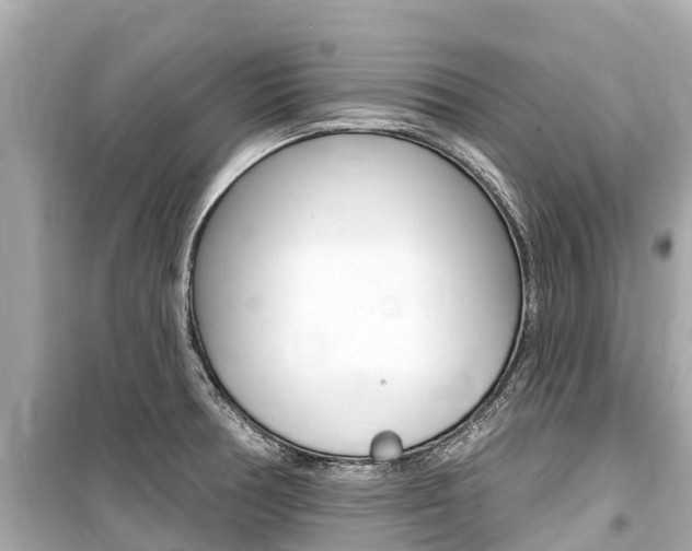 X0000099561378200805160740