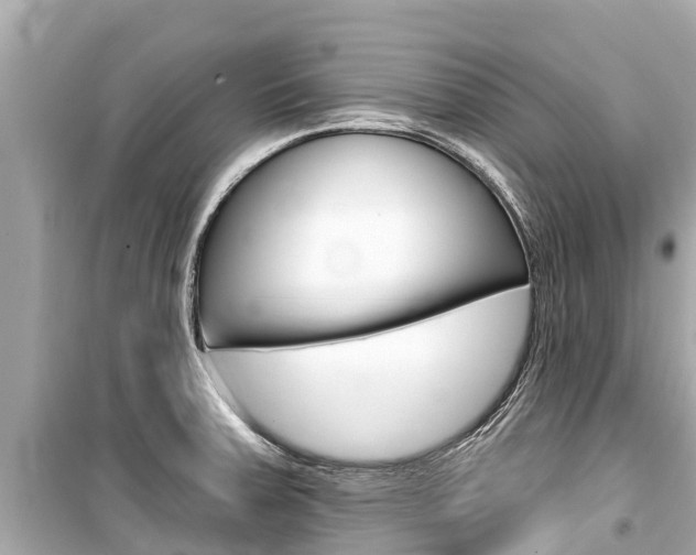 X0000099561379200805160740