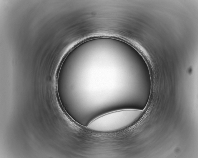 X0000099561380200805160740