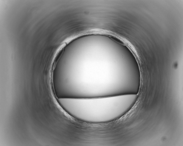 X0000099561381200805160740