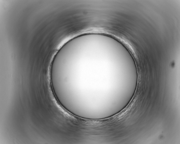 X0000099561382200805160740