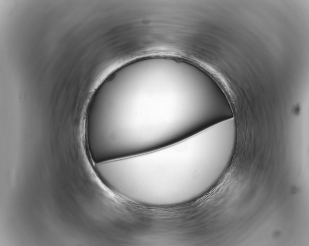 X0000099561383200805160740