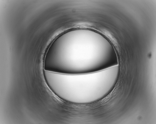 X0000099561384200805160740