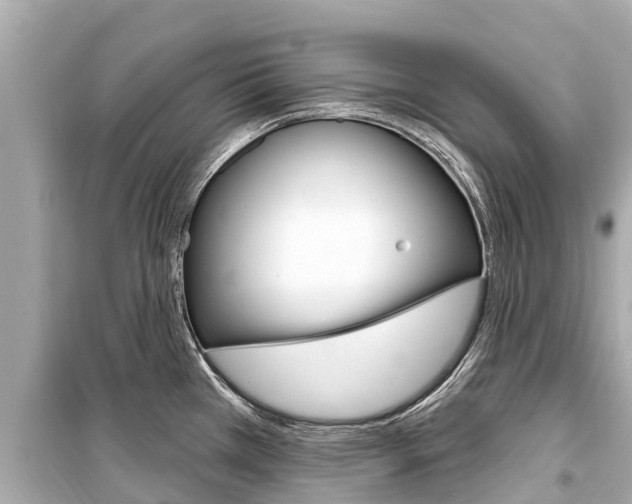 X0000099561385200805160740
