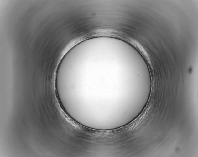 X0000099561386200805160740
